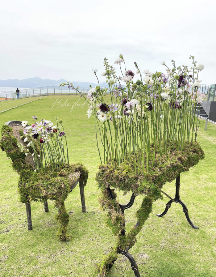 《爱丽丝梦游仙境》