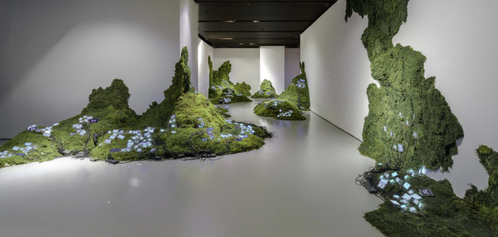 《异形星球-虚拟蝴蝶》