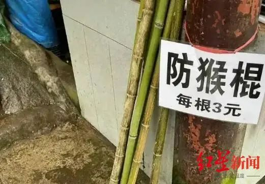 ↑防猴棍 图据游客