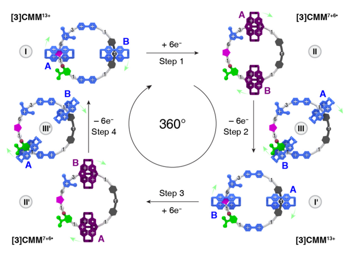 图 | 分子马达运转机理（来源：Nature）