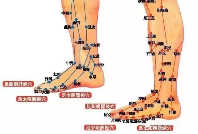 气血通络仪效果怎么样中医院长都在吃!每天一碗,血管少堵塞,活血防中风!_新闻资讯_第6张_活检穿刺产品网 气血通络仪效果怎么样中医院长都在吃!每天一碗,血管少堵塞,活血防中风!_https://www.jmylbn.com_新闻资讯_第6张