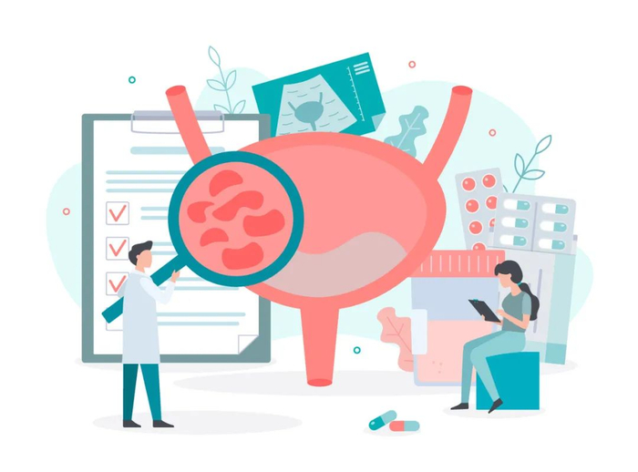 图库版权图片，不授权转载