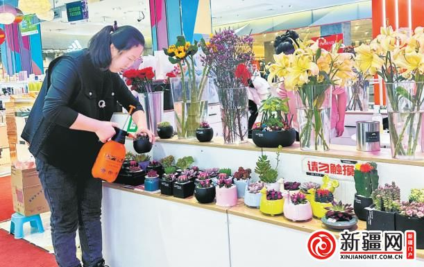 2月26日14时，在位于铁路局的太百购物中心，“沐小暖”花艺店店主赵静正在打理鲜花。（全媒体记者王丽丽摄）