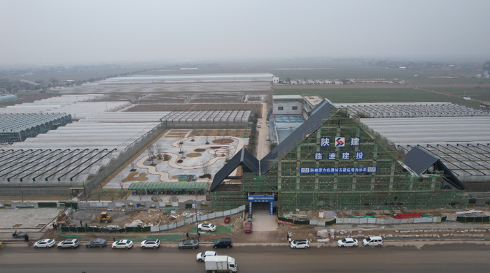 番茄种业智慧谷产业园项目施工场景