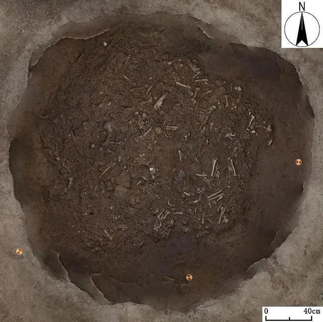 H265祭祀坑三维影像图