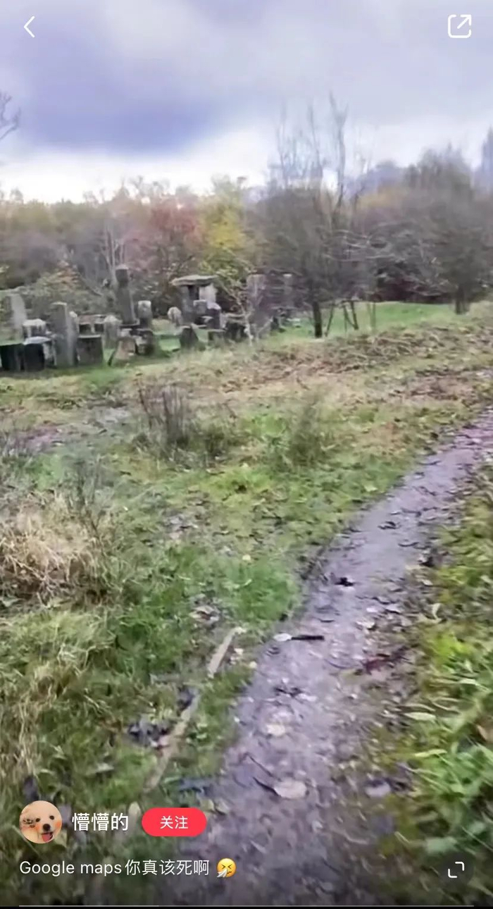 （Source: 小红书@懵懵的）