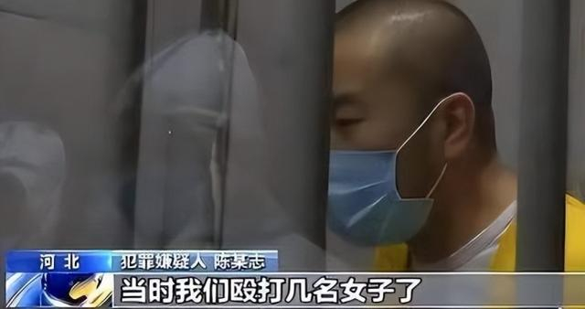 综合来源：企查查官网、正观新闻