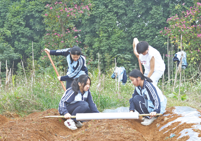     南宁市江南区江西中学学生在耕读园播种、盖膜，体验种植的乐趣。 （学校供图）