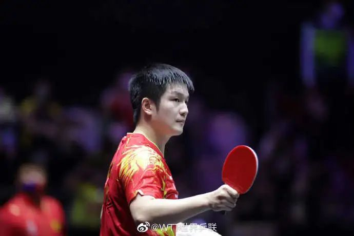 樊振东 资料图丨@WTT世界乒联