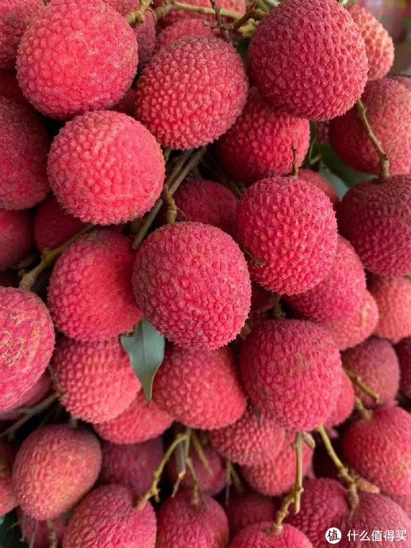 荔枝之王：论荔枝的魅力与美味，谁能称王！！|水果|妃子笑|品种|果肉|口感_新浪新闻