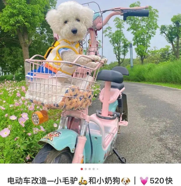 图源：小红书博主@Anchor