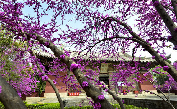 山西芮城永乐宫