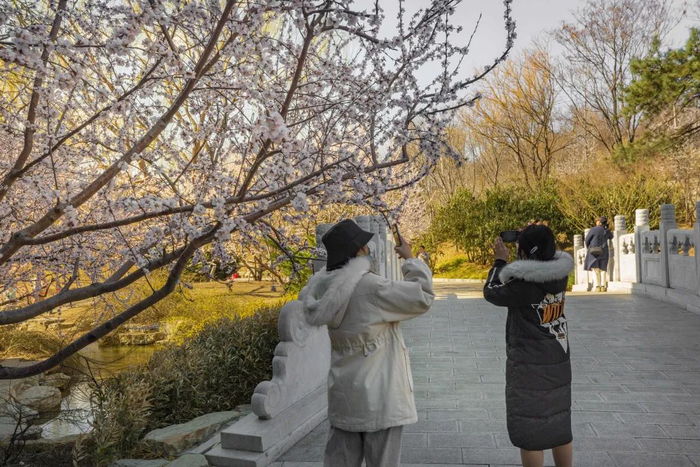 * 文中部分图片来源于中华珍宝馆。