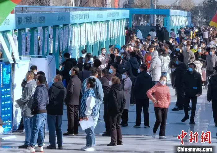 招聘会活动现场资料图。张海雯 摄