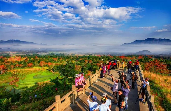 眼下是“春赏木棉红”的黄金时节，各地的游客与摄影爱好者来此观赏“打卡”。（昌江黎族自治县委宣传部供图）