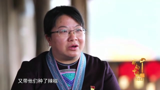 感动中国丨杨宁:不怕弯多山高 只盼家乡更好|广西壮族自治区|脱贫|二十大代表|村民|失败_新浪新闻