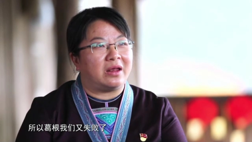 感动中国丨杨宁:不怕弯多山高 只盼家乡更好|广西壮族自治区|脱贫|二十大代表|村民|失败_新浪新闻