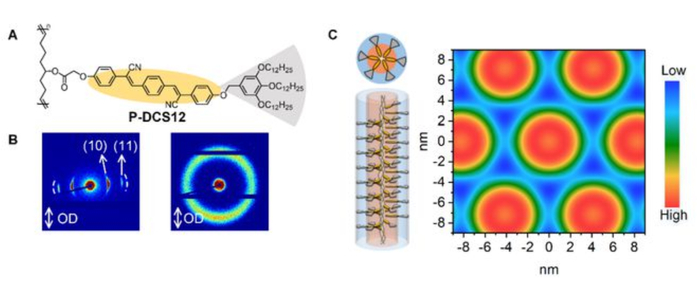 （来源：Advanced Materials）