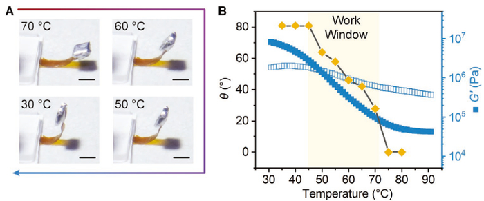 （来源：Advanced Materials）