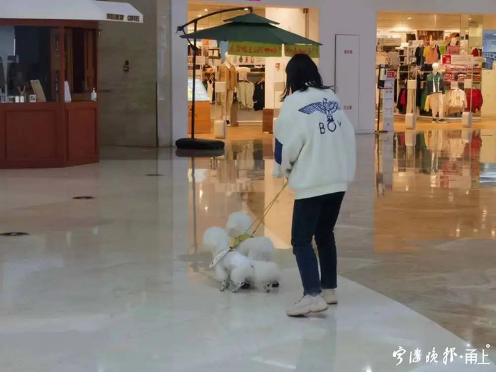 有顾客带宠物逛商场  记者 毛雷君/摄     