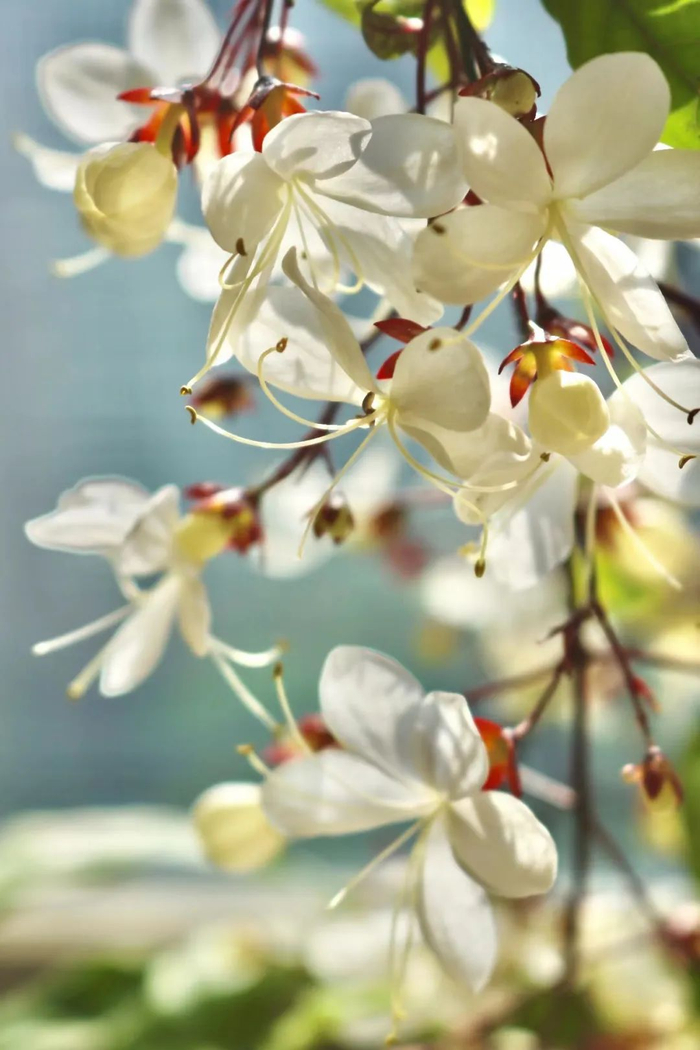 网友：山海归鹤 摄