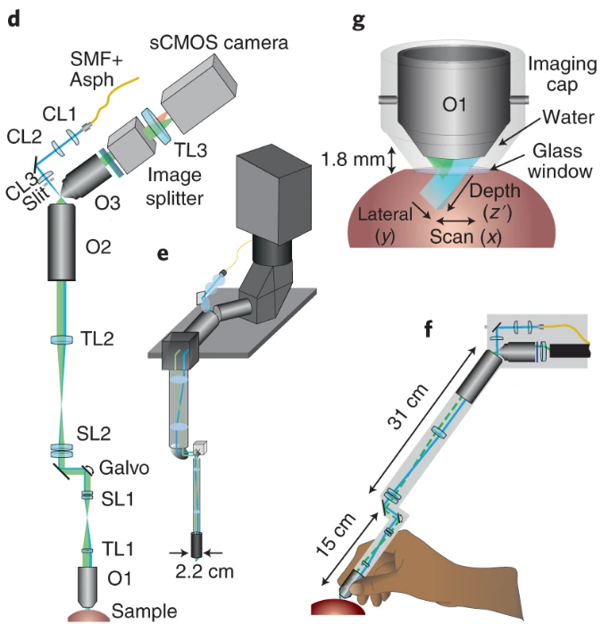 图丨 Medi-SCAPE 系统设计（来源：Nature Biomedical Engineering）