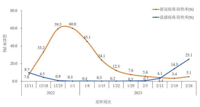 图2-5  全国哨点医院流感样病例新冠和流感病毒阳性率变化趋势（数据来源于402家网络实验室） 
