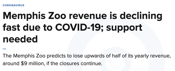 图源：localmemphis