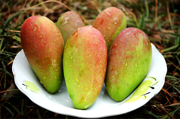 ▲19.9元/整箱，海南贵妃芒