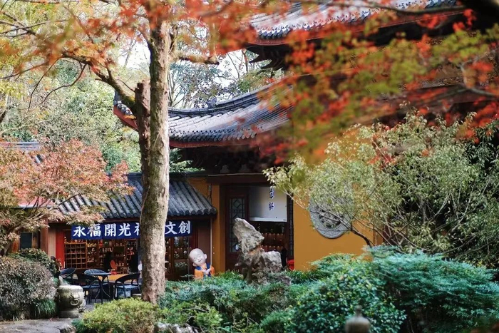 图源“慈杯”微信公众号