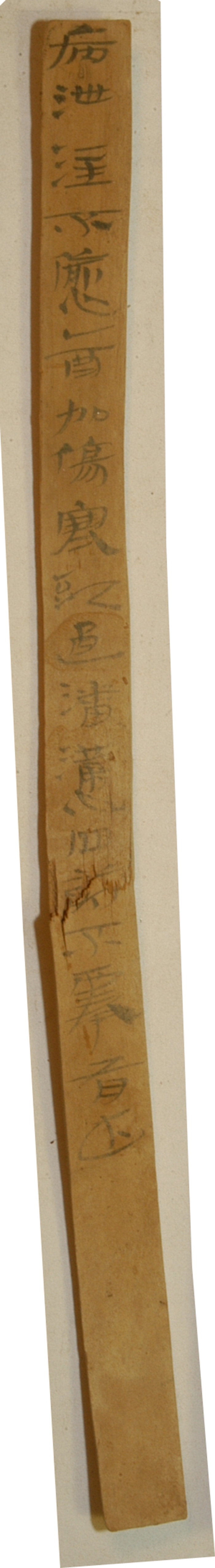 展出文物 编号EPF22:280 生病简