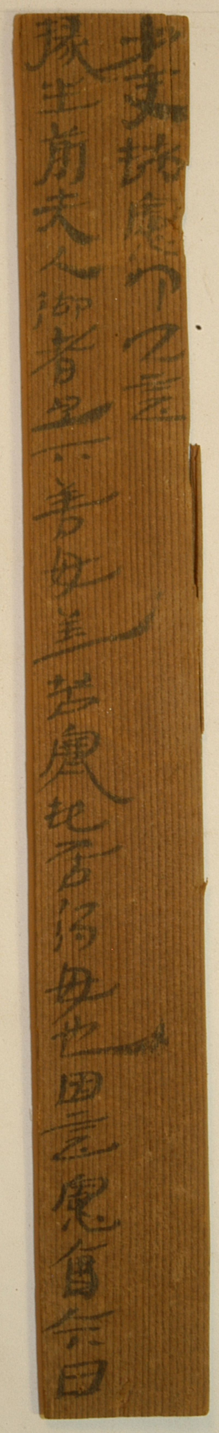 展出文物 编号73EJT24:15AB 赵宪借衣记