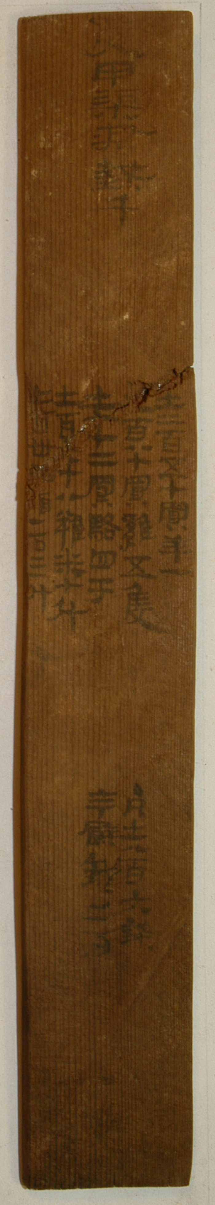 展出文物 编号EPT51∶223 买鸡骆酒