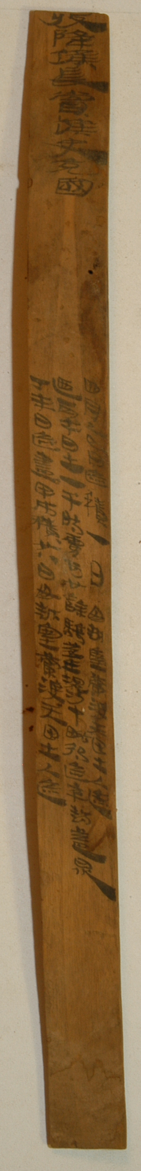 展出文物 编号EPT 58：17 天田日迹简