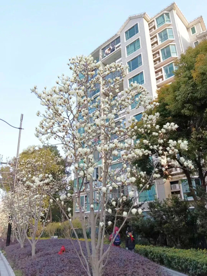 普陀富平路