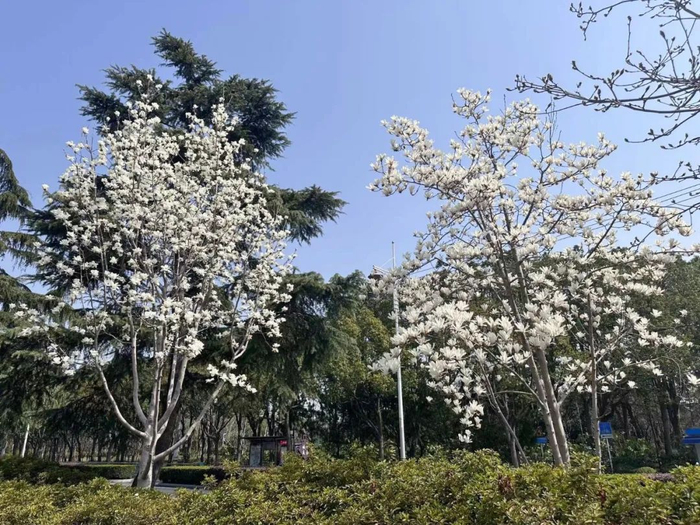 松江人民北路