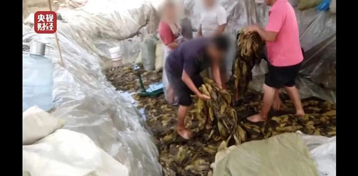 （来源：央视财经视频）