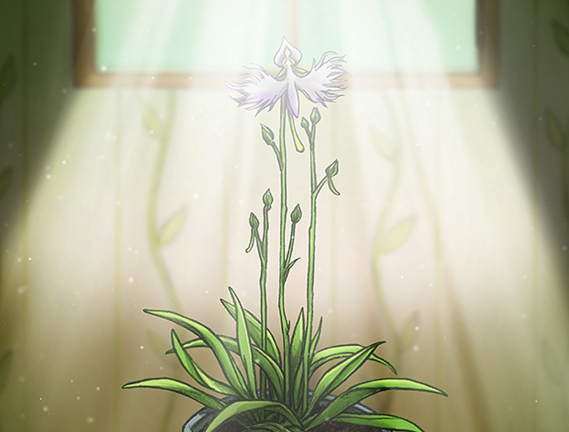 “我的思念将追随你进入梦乡”