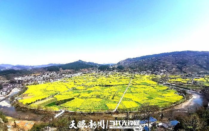 开阳底窝坝油菜花图片