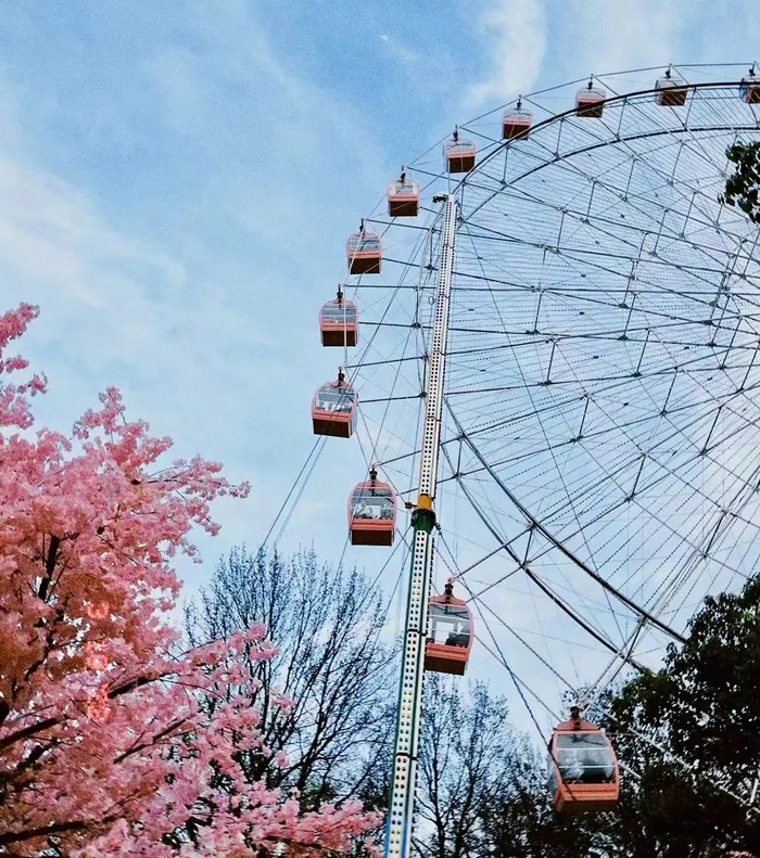 地址：武汉东湖磨山景区南门内100m（导航东湖之眼）