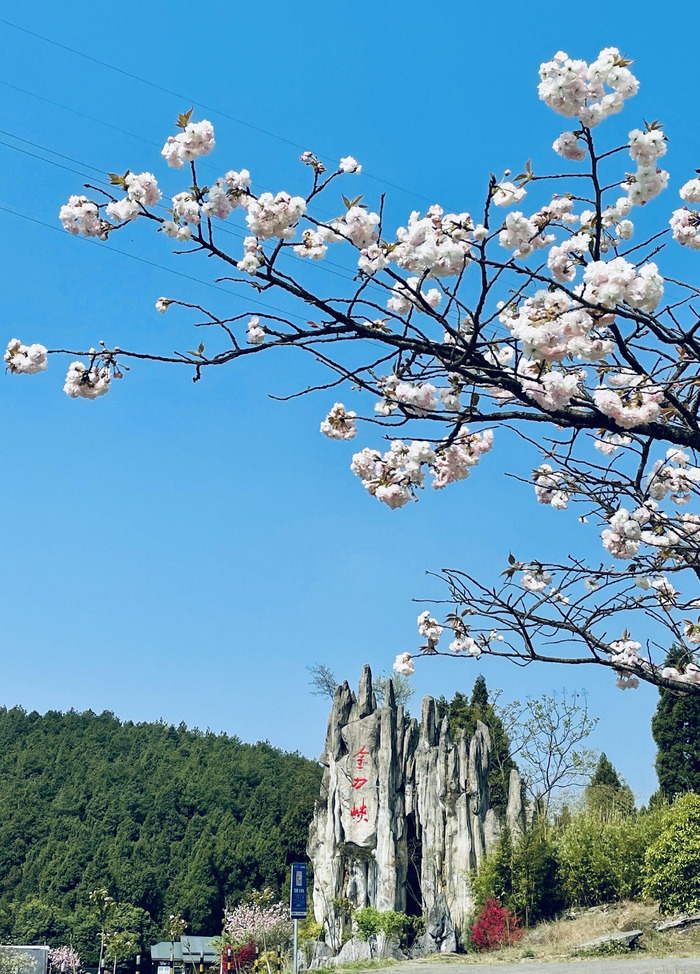 ▲金刀峡景区。受访单位供图。