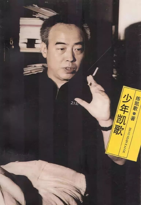 《少年凯歌》，人民文学出版社，2001年版