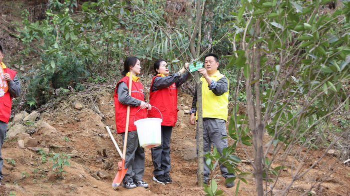 3月10日，璧山团区委组织青年志愿者到八塘镇阳龙村植树。 璧山区融媒体供图