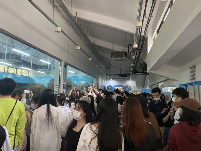 △广州动物园熊猫馆内拥挤的人群 时代周报 李杭/摄