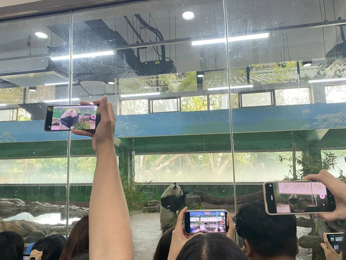 △正在吃下午茶的“星一” 时代周报 李杭/摄