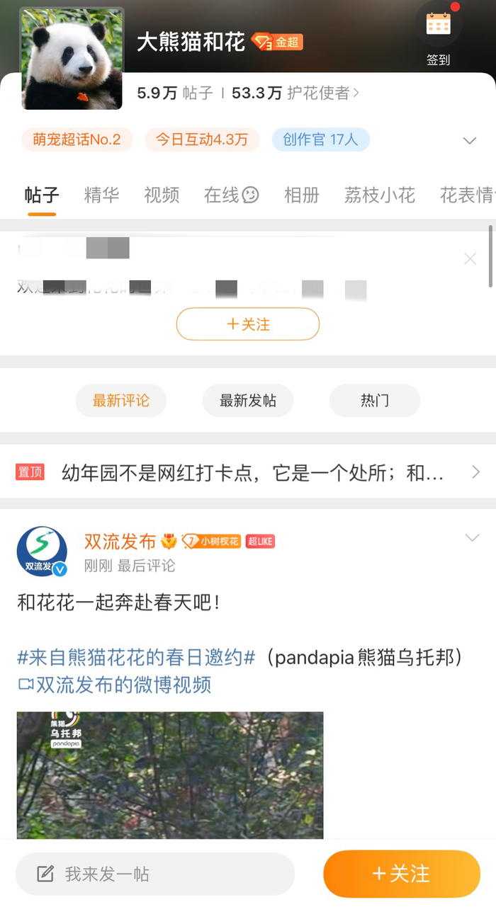 △熊猫花花的超话 图源：网络