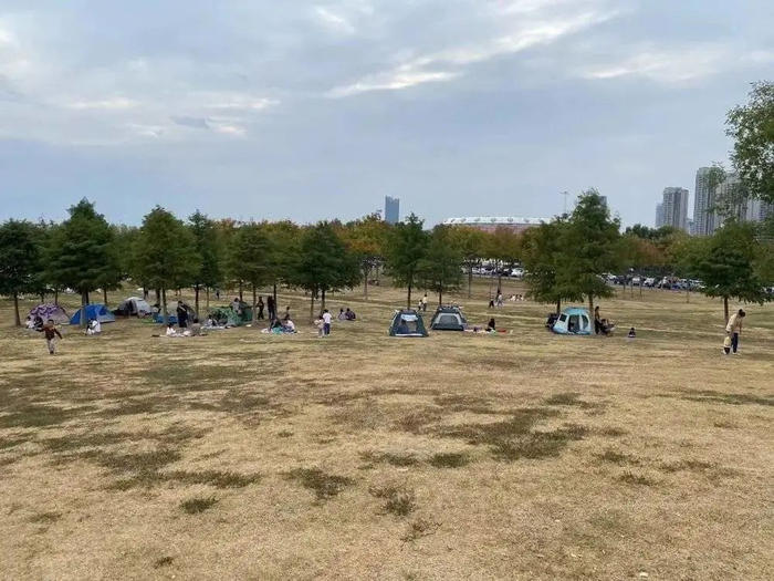 顾啊在合肥草原露营 