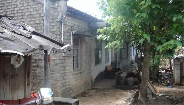 5个乡村民宿改造案例,让你过足乡愁瘾|海南省|树屋|霸王岭|建筑|酒店_新浪新闻