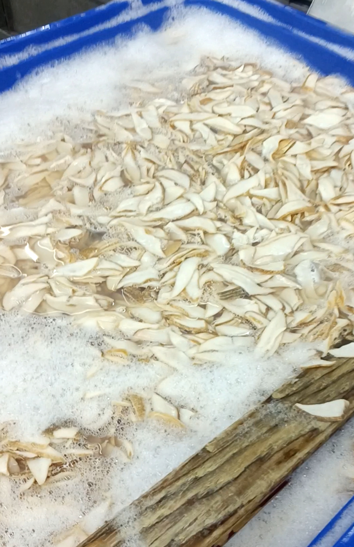 被“药液”泡发的“鲍片”更加滑嫩，散发出类似洗衣粉的味道。&nbsp;&nbsp;暗访视频截图