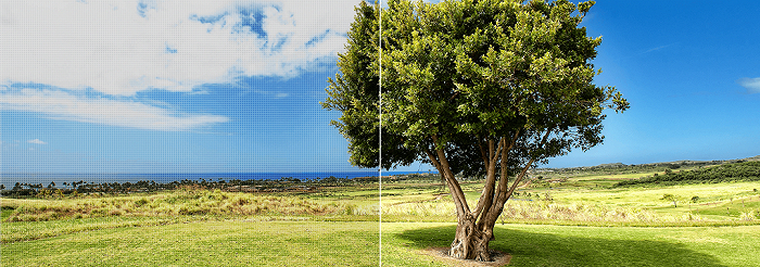 ▲图片左边画面由于像素较低，形成纱窗效应